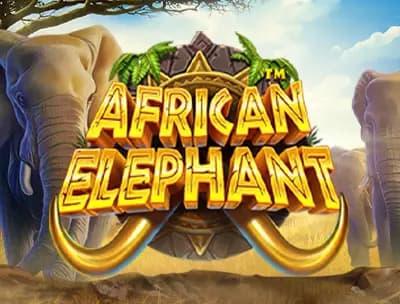African Elephant