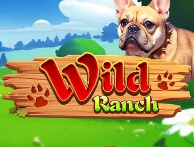 Wild ranch 