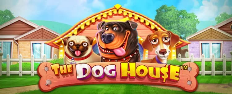 The Dog House