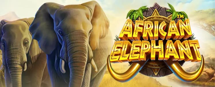 African Elephant